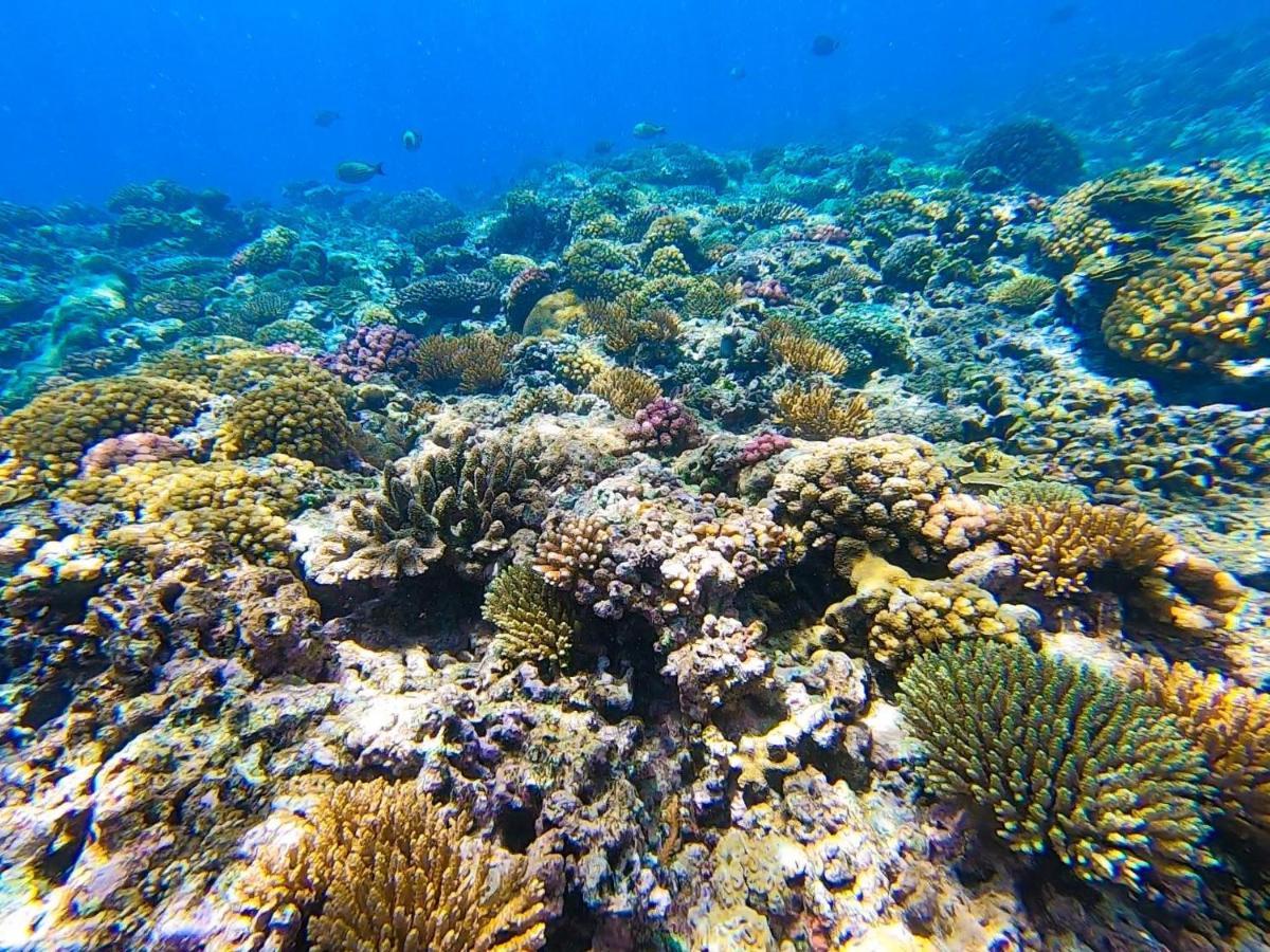 Nasama Resort Port Vila Eksteriør bilde