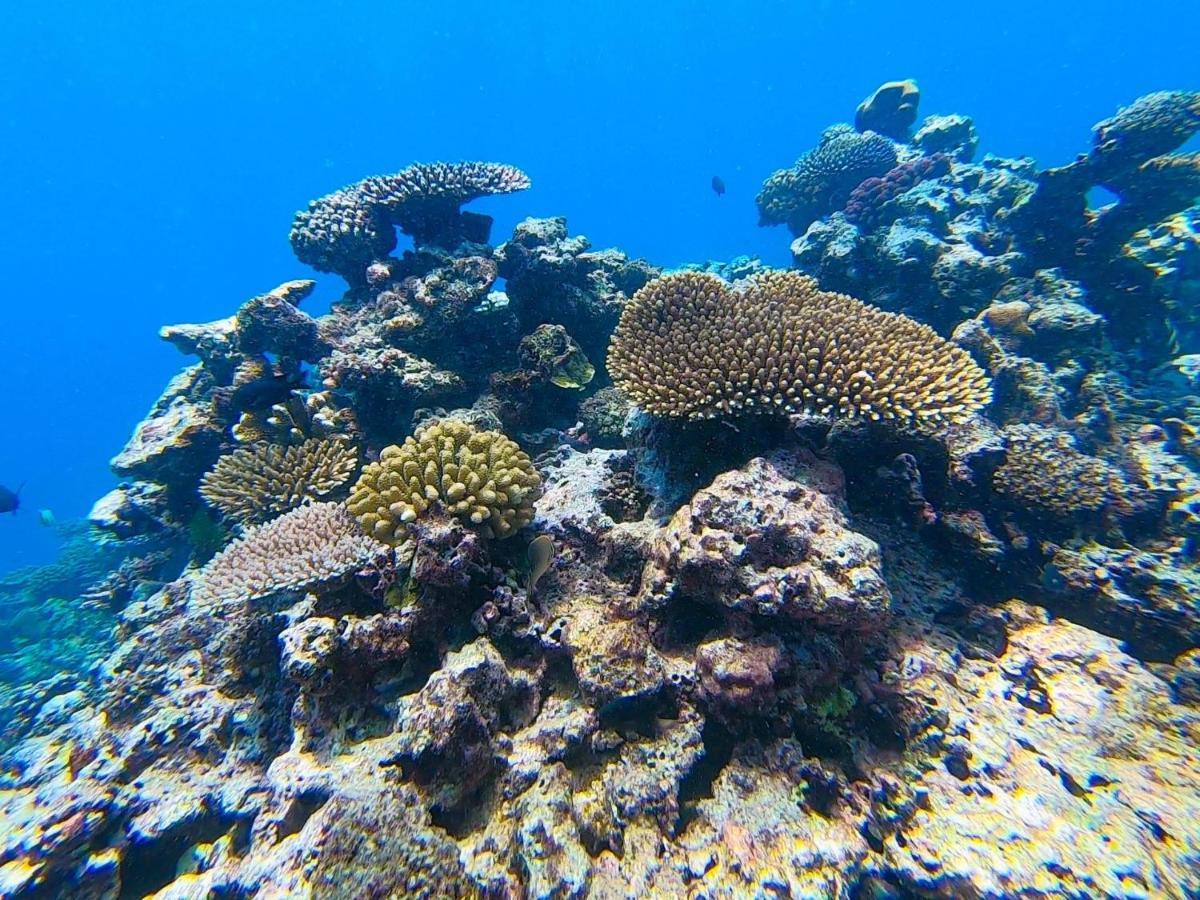 Nasama Resort Port Vila Eksteriør bilde
