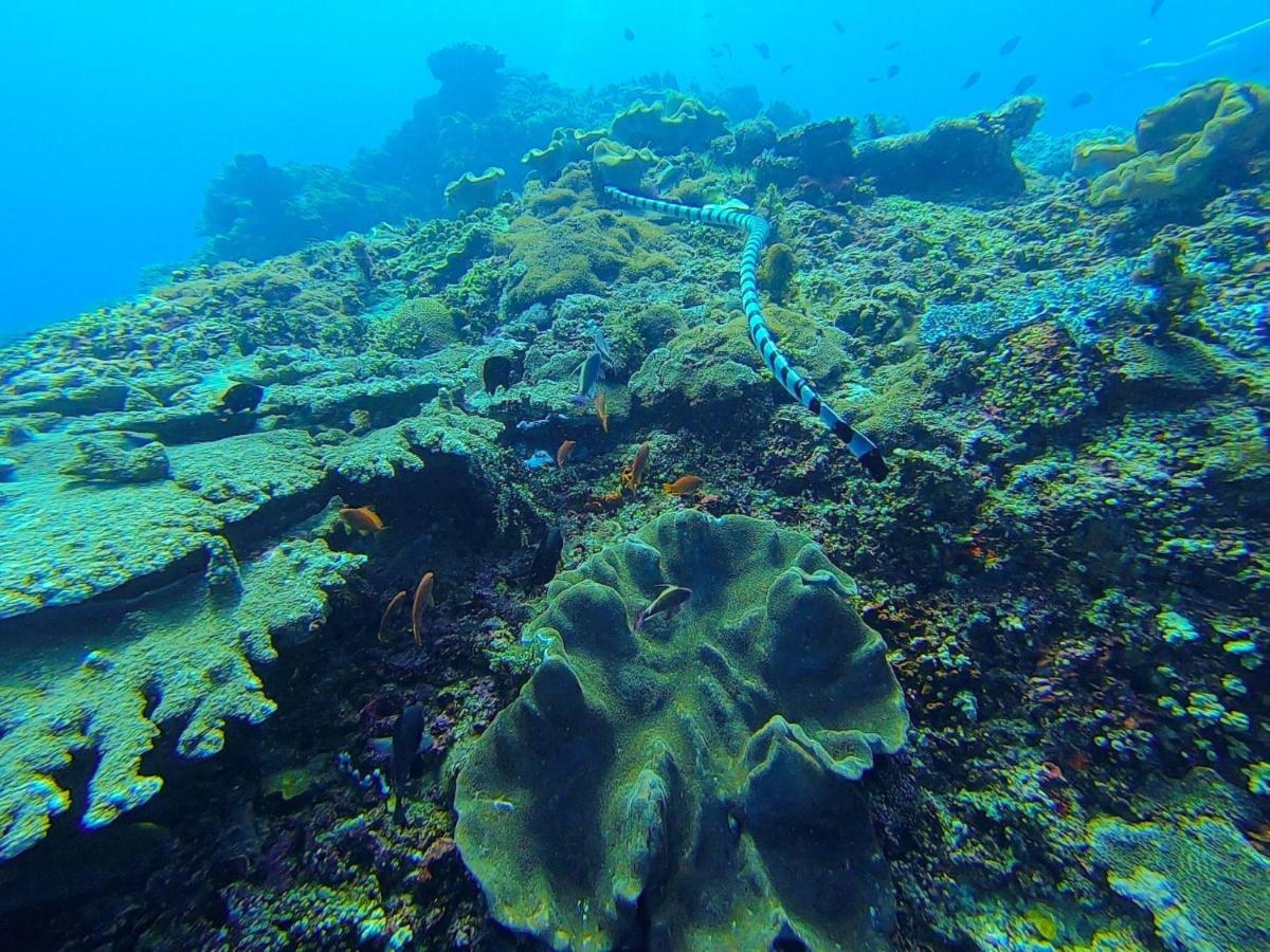 Nasama Resort Port Vila Eksteriør bilde